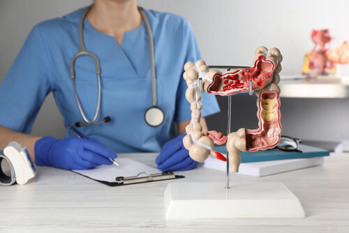 Gastroenterologist,With,Human,Colon,Model,At,Table,In,Clinic,,Closeup